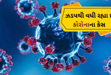 રાજકોટમાં કુલ 105માંથી 54 દર્દી સાજા પણ થઈ ગયા : લગભગ તમામ વોર્ડમાં કેસ : જામનગરમાં 47 એકટીવ કેસ : ભાવનગરમાં પાંચ નવા દર્દીઓ નોંધાયા ,
