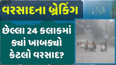 ગુજરાતમાં છેલ્લા 24 કલાકમાં રાજ્યમાં 220 તાલુકામાં વરસાદ ખાબક્યો છે.. સૌથી વધુ વરસાદ બોટાદના ગઢડા તાલુકામાં નોંધાયો