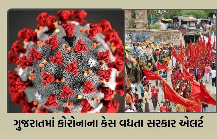 ગુજરાતમાં સતત બીજા દિવસે નવા કેસો 200 થી વધુ: કુલ એકટીવ દર્દી 1227 તેમાંથી 23 હોસ્પીટલમાં સારવાર હેઠળ