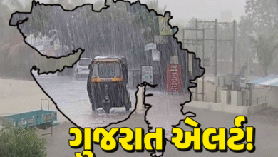 ગુજરાતમાં આગામી 6 દિવસ ભારેથી અતિભારે વરસાદની ચેતવણી આપવામાં આવી છે. જયારે આજે 10 જિલ્લામાં ભારે વરસાદનું રેડ એલર્ટ આપવામાં આવ્યું છે.
