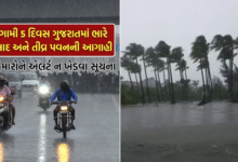 રાજ્ચમા વરસાદને લઈ હવામાન વિભાગે ફરી એકવાર આગાહી ; આગામી 5 દિવસ ગુજરાતમાં સાર્વત્રિક વરસાદની શક્યતાઓ વ્યક્ત કરવામાં આવી ,
