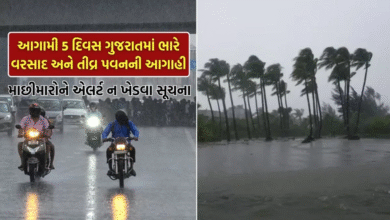 રાજ્ચમા વરસાદને લઈ હવામાન વિભાગે ફરી એકવાર આગાહી ; આગામી 5 દિવસ ગુજરાતમાં સાર્વત્રિક વરસાદની શક્યતાઓ વ્યક્ત કરવામાં આવી ,