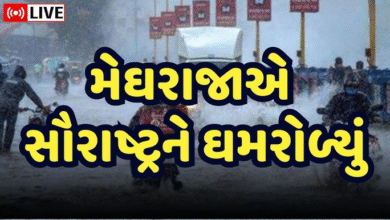 પાલીતાણામાં 11.9 ઇંચ વરસાદ પડતા જનજીવન ઠપ્પ થઇ ગયુ ; વરસાદ ખાબકતા 12 ગામોનો સંપર્ક તૂટ્યો, ડેમ-નદીઓ ફૂલ ,
