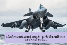 ભારતના ઓપરેશન સિંદૂરને લઈને પાકિસ્તાન અને ચીન સોશ્યલ મીડિયામાં બોગસ ન્યુઝ ફેલાવી રહ્યા છે ; રાફેલને બદનામ કરવાનું કાવતરૂં