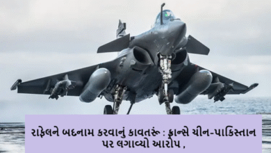 ભારતના ઓપરેશન સિંદૂરને લઈને પાકિસ્તાન અને ચીન સોશ્યલ મીડિયામાં બોગસ ન્યુઝ ફેલાવી રહ્યા છે ; રાફેલને બદનામ કરવાનું કાવતરૂં