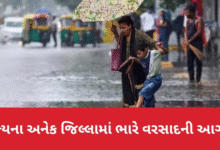 ગુજરાત રાજ્યમાં અનેક વિસ્તારોમાં ભારે વરસાદની આગાહી કરવામાં આવી છે.