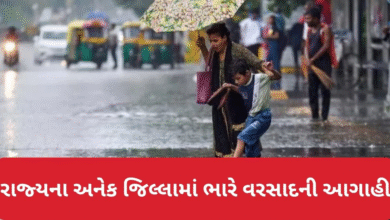 ગુજરાત રાજ્યમાં અનેક વિસ્તારોમાં ભારે વરસાદની આગાહી કરવામાં આવી છે.