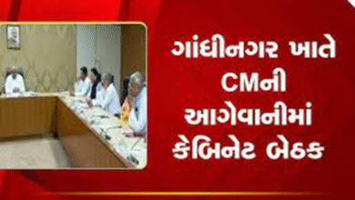 ગાંધીનગર ખાતે મુખ્યમંત્રીની અધ્યક્ષતામાં કેબિનેટ બેઠક મળશે જેમાં ; રાજ્યમાં પડેલા ભારે વરસાદથી લઈને વિવિધ મુદ્દાઓ પર થશે ચર્ચા ,