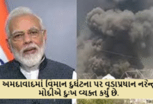 અમદાવાદમાં વિમાન દુર્ઘટના પર વડાપ્રધાન નરેન્દ્ર મોદીએ દુઃખ વ્યક્ત કર્યું છે. તેઓ આ હ્યદયદ્રાવક દુર્ઘટનાથી ભાવુક થયા ,