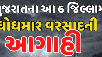રાજ્યના મોટાભાગના વિસ્તારોમાં સામાન્ય વરસાદ થઈ શકે છે, પરંતુ ભારે વરસાદની કોઈ ચેતવણી આપવામાં આવી નથી.