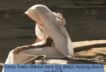 રાજ્યમાંથી એક મોટા કૌભાંડની હારમાળા સામે આવી રહી છે. વિધવા પેન્શન યોજનાને લઇને મોટું કૌભાંડ આચરાયુ હોવાની રાવ ઉઠી છે ,