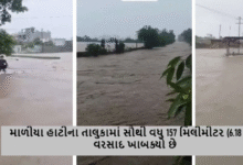 જૂનાગઢ જિલ્લાના માળીયા હાટીના તાલુકામાં સૌથી વધુ 157 મિલીમીટર (6.18 ઇંચ) વરસાદ ખાબક્યો છે.