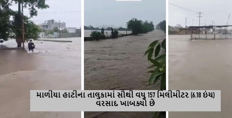 જૂનાગઢ જિલ્લાના માળીયા હાટીના તાલુકામાં સૌથી વધુ 157 મિલીમીટર (6.18 ઇંચ) વરસાદ ખાબક્યો છે.