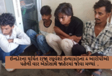 ઈન્દોરના ચર્ચિત રાજા રઘુવંશી હત્યાકાંડના 4 આરોપીઓ પહેલી વાર એકીસાથે જાહેરમાં જોવા મળ્યાં ,