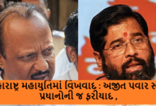 મહારાષ્ટ્ર મહાયુતિમાં વિખવાદ : અજીત પવાર સામે પ્રધાનોની જ ફરીયાદ ,