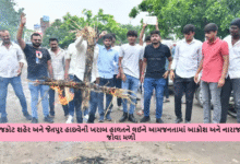 રાજકોટ શહેર અને જેતપુર હાઇવેની ખરાબ હાલતને લઈને આમજનતામાં આક્રોશ અને નારાજગી જોવા મળી રહી છે.
