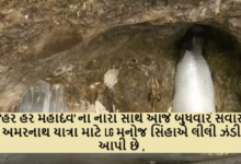 'હર હર મહાદેવ' ના નારા સાથે આજે બુધવારે સવારે અમરનાથ યાત્રા માટે LG મનોજ સિંહાએ લીલી ઝંડી આપી છે ,