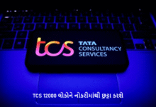 AI ના કારણે હજારો લોકોની નોકરી ખતરામાં આવી દેશની સૌથી મોટી આઇટી કંપની TCS 12000 લોકોને નોકરીમાંથી છુટ્ટા કરશે ,