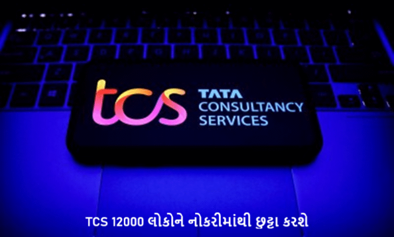 AI ના કારણે હજારો લોકોની નોકરી ખતરામાં આવી દેશની સૌથી મોટી આઇટી કંપની TCS 12000 લોકોને નોકરીમાંથી છુટ્ટા કરશે ,