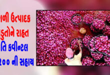 ગુજરાતમાં ડુંગળી પકવતા ખેડૂતોના હિતમાં મુખ્યમંત્રી ભૂપેન્દ્ર પટેલના માર્ગદર્શન હેઠળ રાજ્ય સરકારે એક મહત્વપૂર્ણ અને ખેડૂત હિતલક્ષી નિર્ણય કર્યો છે.