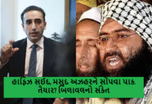 હાફિઝ સઈદ, મસુદ અઝહરને સોંપવા પાક. તૈયાર? બિલાવલનો સંકેત ,