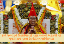 કાલે જન્મદિને ઉતરાધિકારી પસંદ થવાની અટકળો પર પૂર્ણવિરામ મુકતા તિબેટીયન ધાર્મિક વડા