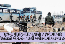 પુલવામા માટે વિસ્ફોટકો એમેઝોન પરથી ખરીદવામાં આવ્યા હતા, ગોરખપુરમાં આતંકવાદીઓને ઓનલાઈન પૈસા પૂરા પાડવામાં આવ્યા હતા ; FATFનો ચોંકાવનારો ખુલાસો ,