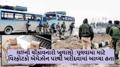 પુલવામા માટે વિસ્ફોટકો એમેઝોન પરથી ખરીદવામાં આવ્યા હતા, ગોરખપુરમાં આતંકવાદીઓને ઓનલાઈન પૈસા પૂરા પાડવામાં આવ્યા હતા ; FATFનો ચોંકાવનારો ખુલાસો ,