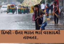 દેશના મોટાભાગનાં ક્ષેત્રોમાં ચોમાસાની જમાવટ વચ્ચે પાટનગર દિલ્હીથી માંડીને સમગ્ર ઉતર ભારતમાં વરસાદી રેલમછેલ ,