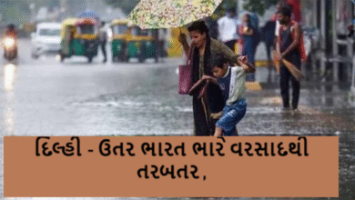 દેશના મોટાભાગનાં ક્ષેત્રોમાં ચોમાસાની જમાવટ વચ્ચે પાટનગર દિલ્હીથી માંડીને સમગ્ર ઉતર ભારતમાં વરસાદી રેલમછેલ ,