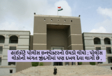 હાઈકોર્ટે પોલીસ ઇન્સ્પેક્ટરનો ઉધડો લીધો ; પોલીસ લોકોની અંગત જીંદગીમાં પણ દખલ દેવા લાગી છે ,