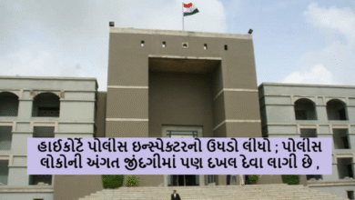 હાઈકોર્ટે પોલીસ ઇન્સ્પેક્ટરનો ઉધડો લીધો ; પોલીસ લોકોની અંગત જીંદગીમાં પણ દખલ દેવા લાગી છે ,