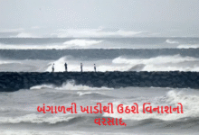 બંગાળની ખાડીની સાથે અરબી સમુદ્રમાં એક સાયક્લોનિક સર્ક્યુલેશન બની રહ્યું છે. જેની અસરથી ગુજરાતમાં ફરી વરસાદનું આગમન