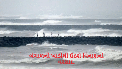 બંગાળની ખાડીની સાથે અરબી સમુદ્રમાં એક સાયક્લોનિક સર્ક્યુલેશન બની રહ્યું છે. જેની અસરથી ગુજરાતમાં ફરી વરસાદનું આગમન
