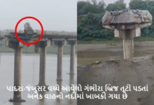 વડોદરાથી એક મોટા સમાચાર ; પાદરા-જંબુસર વચ્ચે આવેલો ગંભીરા બ્રિજ તૂટી પડતાં અનેક વાહનો નદીમાં ખાબકી ગયા છે ,
