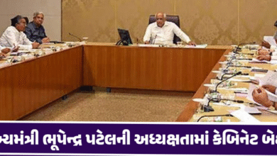 ગાંધીનગરમાં આજે કેબિનેટની બેઠક ; બ્રિજના સર્વેથી લઇને વિવિધ મુદ્દાઓની કરાશે સમીક્ષા ,