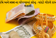 કૃષિ અને MSME ના ધીરાણમાં સોનુ - ચાંદી ગીરવે રાખી શકાશે ; નાના ઉદ્યોગોને પણ તાત્કાલિક ધીરાણ મળી શકશે ,
