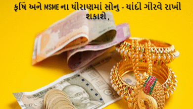 કૃષિ અને MSME ના ધીરાણમાં સોનુ - ચાંદી ગીરવે રાખી શકાશે ; નાના ઉદ્યોગોને પણ તાત્કાલિક ધીરાણ મળી શકશે ,