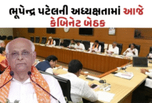 ગાંધીનગરમાં આજે રાજ્ય મંત્રિમંડળની મહત્વપૂર્ણ બેઠક ; મુખ્યમંત્રી ભૂપેન્દ્ર પટેલની અધ્યક્ષતામાં યોજાનારી આ બેઠકમાં વરસાદ, વાવેતર અને શિક્ષણ મુદ્દે વિસ્તૃત ચર્ચા થવાની છે.