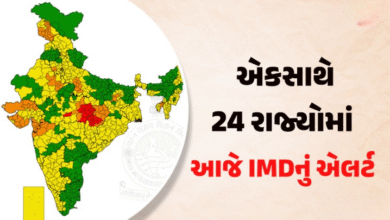 હવામાન વિભાગે 7 જુલાઇ માટે દિલ્હી અને ગુજરાત સહિત અન્ય રાજ્યો માટે યલો એલર્ટ જાહેર કર્યું છે.