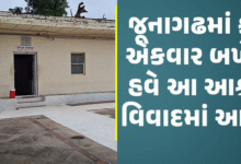 જૂનાગઢનો આનંદ આશ્રમ વિવાદમાં: પૂર્વ વિદ્યાર્થીઓએ ગેરરીતિ સામે અવાજ ઉઠાવ્યો, ટ્રસ્ટીઓએ કહ્યું 'ષડયંત્ર'