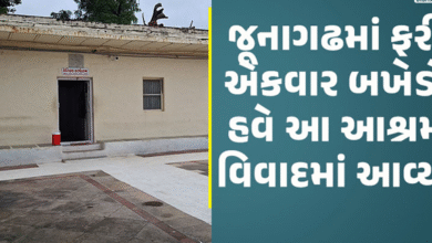 જૂનાગઢનો આનંદ આશ્રમ વિવાદમાં: પૂર્વ વિદ્યાર્થીઓએ ગેરરીતિ સામે અવાજ ઉઠાવ્યો, ટ્રસ્ટીઓએ કહ્યું 'ષડયંત્ર'