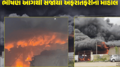 ખેડાની રાઇસ મિલમાં ફાટી નીકળી ભયાનક આગ, દૂર સુધી દેખાયા ધુમાડાના ગોટેગોટા ,