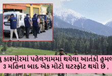 પહેલગામ આતંકી હુમલાના 3 મહિના બાદ ખૌફનાક સત્ય સામે આવ્યું ; હુમલાની તપાસ કરી રહેલી એનઆઈએ એ હુમલાને નજર જોનાર એક શખ્સની ઓળખ કરી છે ,