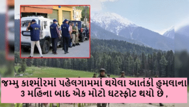 પહેલગામ આતંકી હુમલાના 3 મહિના બાદ ખૌફનાક સત્ય સામે આવ્યું ; હુમલાની તપાસ કરી રહેલી એનઆઈએ એ હુમલાને નજર જોનાર એક શખ્સની ઓળખ કરી છે ,