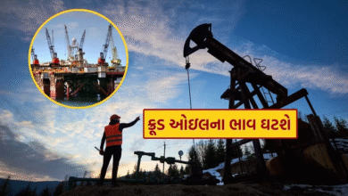 ક્રુડ તેલમાં વધુ રાહત મળશે ; સાઉદી અરેબીયા સહિતના ઓપેક દેશો પોતાના ઘટતા જતા માર્કેટ શેરથી ચિંતિત : ભારતને લાભ