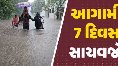 ગુજરાતમાં આગલા સપ્તાહ સુધી ભારે વરસાદની શકયતા ; રાજ્યના ઘણા વિસ્તારોમાં ઓરેન્જ અને યેલો એલર્ટ જાહેર કરવામાં આવ્યું છે