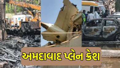 અમદાવાદ વિમાની દુર્ઘટના અંગે પ્રથમ તારણ ; વિમાનના બંને એન્જીન એકસાથે નિષ્ફળ ગયા ! પાયલોટે તમામ સિસ્ટમ રીપીટ કરી હતી ,