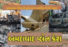 અમદાવાદ વિમાની દુર્ઘટના ; નાગરિક ઉડ્ડયન મંત્રાલયને એવીએશન એકસીડેન્ટ ઈન્વેસ્ટીગેશન એજન્સીએ પોતાનો રિપોર્ટ આપ્યો : હવે તેના પર નિષ્ણાંતની પેનલ અભ્યાસ કરીને અભિપ્રાય આપશે