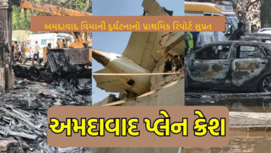 અમદાવાદ વિમાની દુર્ઘટના ; નાગરિક ઉડ્ડયન મંત્રાલયને એવીએશન એકસીડેન્ટ ઈન્વેસ્ટીગેશન એજન્સીએ પોતાનો રિપોર્ટ આપ્યો : હવે તેના પર નિષ્ણાંતની પેનલ અભ્યાસ કરીને અભિપ્રાય આપશે
